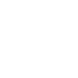 Prim Logo